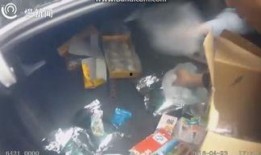 毒贩被抓爆料视频大全下载,揭秘警方抓捕行动全程纪实