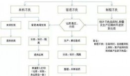 豆浆工厂爆料流程图片视频,揭秘生产流程与视频实拍