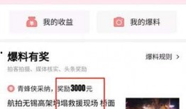 头条爆料必须发视频吗,必须发视频，否则无法发布！