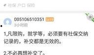 廊坊最新社保爆料,最新调整与福利待遇一览”