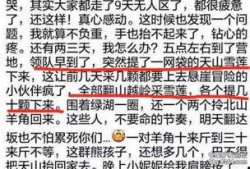 网友爆料雪莲视频,网友爆料揭示神秘事件真相