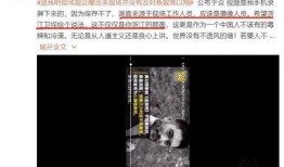 爆料视频人物 会犯法吗,违法边界与法律责任探讨