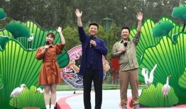 南阳网红爆料事件视频最新,真相与争议交织的舆论漩涡