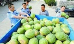 揭阳网红吃瓜群微信,揭秘网络社交圈的趣味与热议
