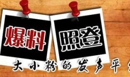 新闻爆料平台入口,如何轻松获取独家资讯