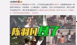陈赫二姐爆料视频播放在线观看,揭秘娱乐圈不为人知的一面