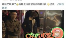 成毅狗仔爆料视频,娱乐圈幕后真相大曝光
