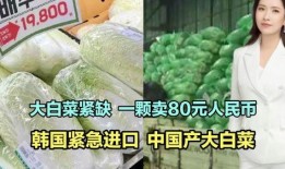 爆料种大白菜套取国家补贴视频,视频曝光惊人内幕