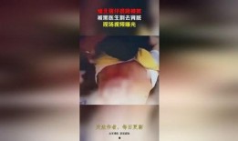 爆料缅北医生视频播放大全,视频播放大全深度解析