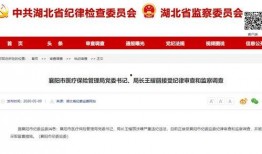 湖北爆料最新消息视频,视频揭露惊人真相！