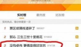 卓伟团队斗鱼爆料视频,卓伟团队独家爆料视频揭秘幕后真相