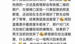 娱乐吃瓜群名叫什么名字,揭秘“娱乐吃瓜群”背后的热点事件与趣味瞬间