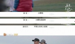 再见爱人4最新一期爆料,夫妻关系再起波澜，真相揭晓令人震惊！